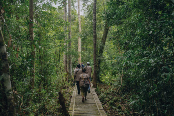 Jakarta State Administrative Court (PTUN) Grants Petition for Suspension of Decree Revoking PT. Rimba Raya Conservation License in Seruyan Regency