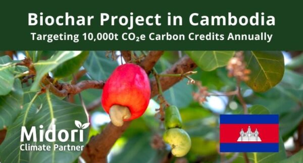 Biochar Project in Cambodia to Generate 10,000t CO2e CDR Carbon Credit Annually from 2025