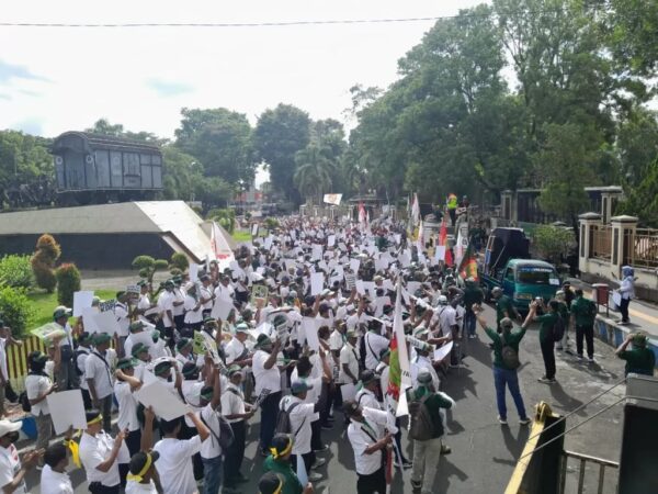 Holding Perkebunan Nusantara Kawal Penyelesaian Konflik Ijen demi Aset Negara dan Keselamatan Pekerja