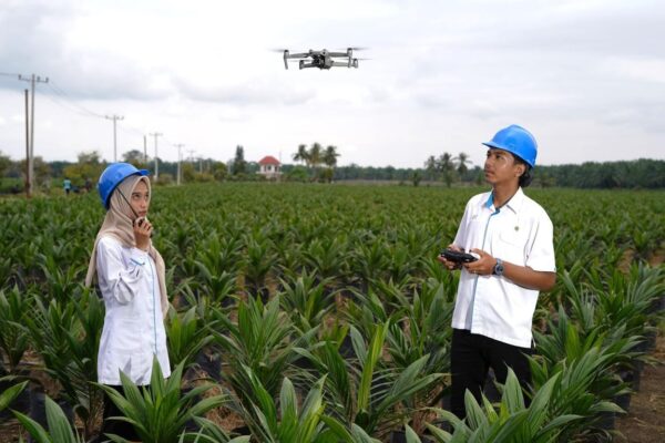 Holding Perkebunan Nusantara Percepat Transformasi Digital, PalmCo Sertifikasi Operator Drone Perkuat Sistem Pemantauan Kebun