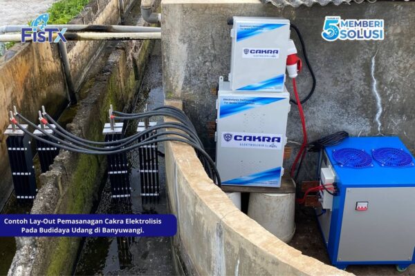 Era Baru Budidaya Udang Indonesia Tiba : FisTx Terapkan Sistem Perlindungan Berlapis UV dan Elektrolisis di Tambak Banyuwangi