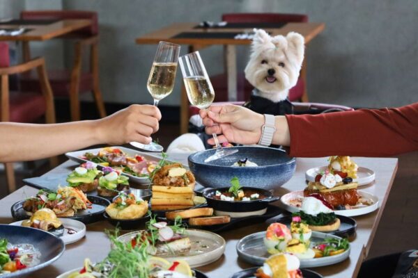 Experience the Ultimate Pet-Friendly Dining with Sunday Brunch & Bark at Aloft Bangkok Sukhumvit 11